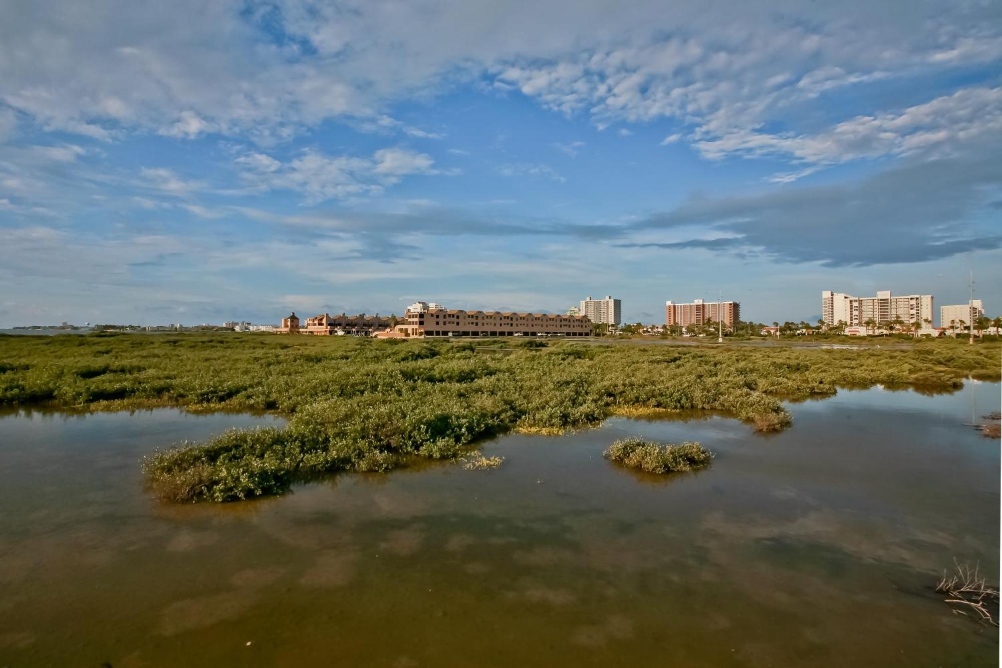 Suntide III Condominiums South Padre Island Quarto foto